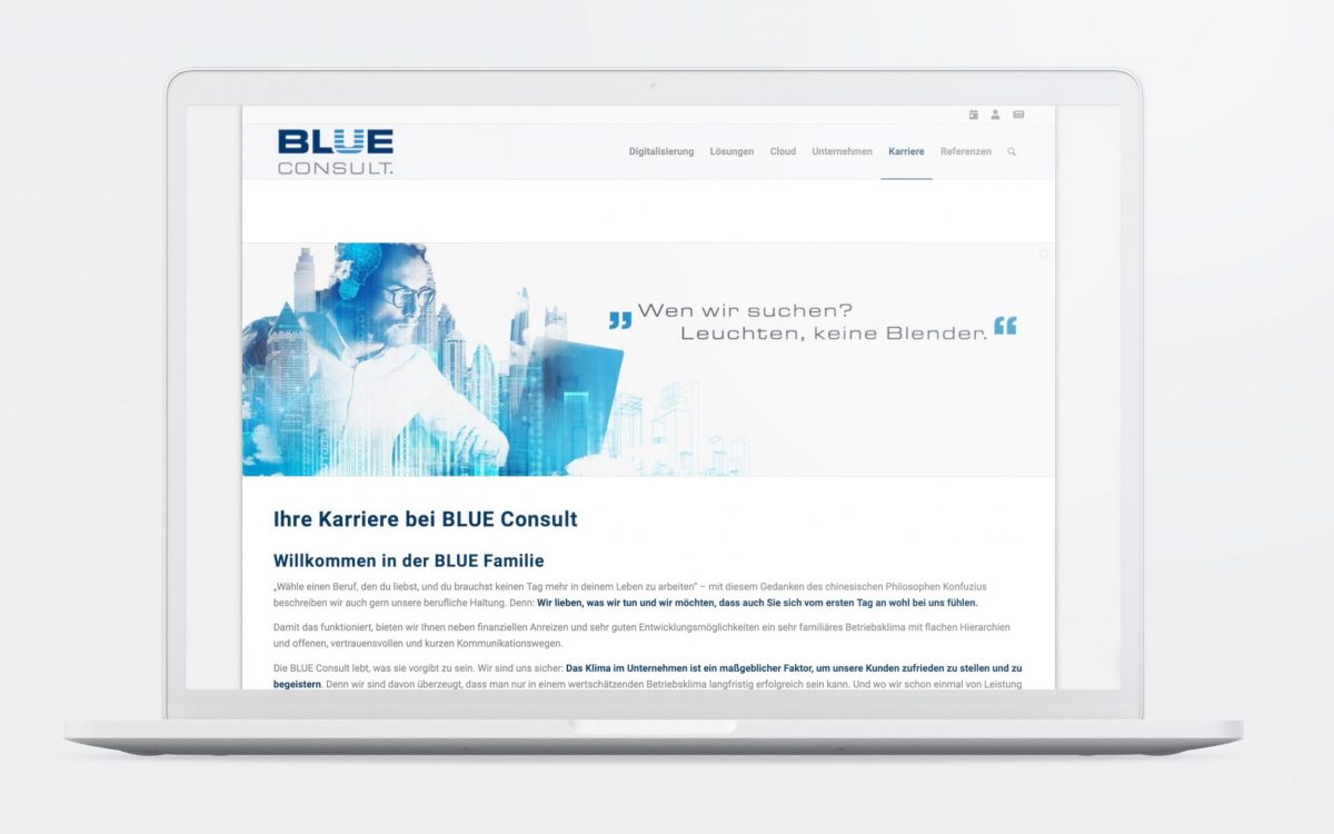 Blue Consult Karriereseite. Younique Branding, Referenzen